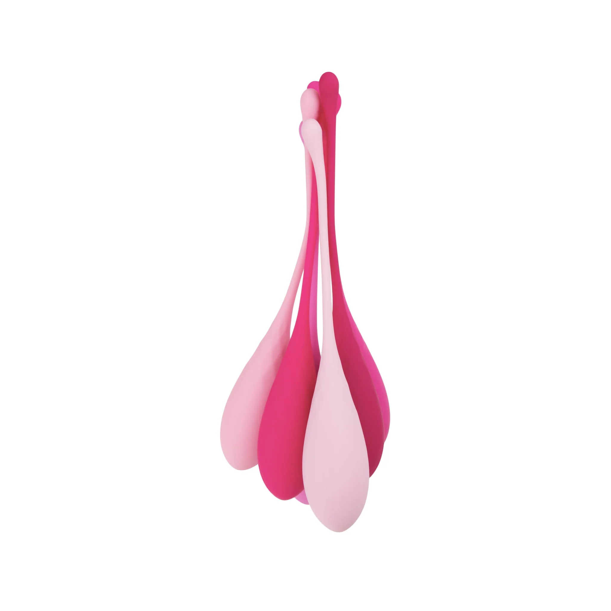 Kegel Weights Set for Pelvic Wellness (6 pcs)